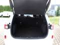 Ford Kuga Plug-In Hybrid Vignale 2,5 Duratec Blanco - thumbnail 22