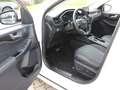 Ford Kuga Plug-In Hybrid Vignale 2,5 Duratec Blanco - thumbnail 3