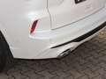 Ford Kuga Plug-In Hybrid Vignale 2,5 Duratec Blanco - thumbnail 8