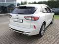 Ford Kuga Plug-In Hybrid Vignale 2,5 Duratec Blanco - thumbnail 9