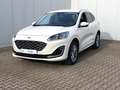 Ford Kuga Plug-In Hybrid Vignale 2,5 Duratec Blanco - thumbnail 39