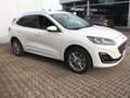 Ford Kuga Plug-In Hybrid Vignale 2,5 Duratec Blanco - thumbnail 10
