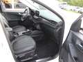 Ford Kuga Plug-In Hybrid Vignale 2,5 Duratec Blanco - thumbnail 28