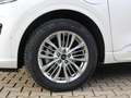 Ford Kuga Plug-In Hybrid Vignale 2,5 Duratec Blanco - thumbnail 6