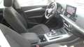 Audi Q5 Q5 40 TDI 204 CV quattro S tronic Grigio - thumbnail 12