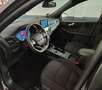 Ford Kuga 2.0 ecoblue ST-Line 2wd 120cv auto Grau - thumbnail 11