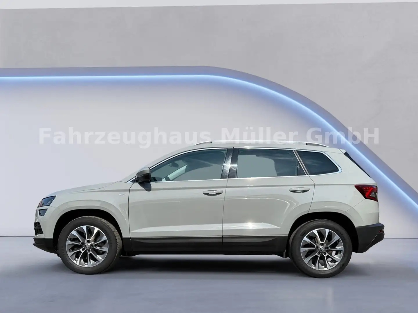Skoda Karoq Clever 4x4 2.0 TDI 110kW RFK SHZ Gris - 2