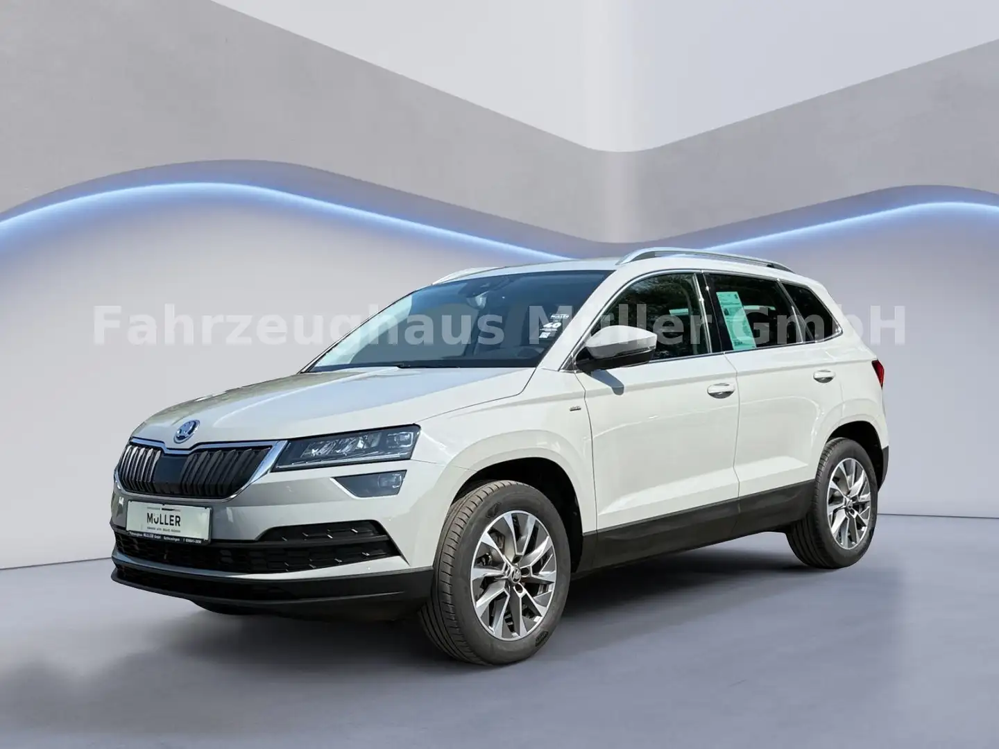 Skoda Karoq Clever 4x4 2.0 TDI 110kW RFK SHZ Gris - 1