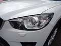 Mazda CX-5 Sports-Line AWD*AUTOMATIK*XENON*LEDER*NAV* Bianco - thumbnail 9