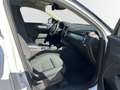 Volvo XC40 Recharge T5 R-Design Expression 1.Hand 19'' AHK E- Weiß - thumbnail 3
