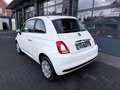 Fiat 500 Cult  Mild-Hybrid Blanc - thumbnail 5