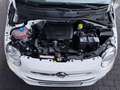 Fiat 500 Cult  Mild-Hybrid Blanc - thumbnail 14