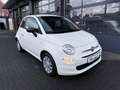 Fiat 500 Cult  Mild-Hybrid Blanc - thumbnail 3
