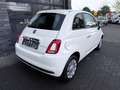 Fiat 500 Cult  Mild-Hybrid Blanc - thumbnail 6