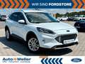 Ford Kuga Titanium X 1.5 EcoBoost B&O LED 1.Hand Weiß - thumbnail 1
