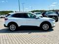 Ford Kuga Titanium X 1.5 EcoBoost B&O LED 1.Hand Weiß - thumbnail 9