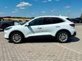 Ford Kuga Titanium X 1.5 EcoBoost B&O LED 1.Hand Weiß - thumbnail 4