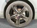 SEAT Leon FR 1.5 TSI 150 PS Blau - thumbnail 5