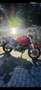 Ducati Monster 696 - thumbnail 6
