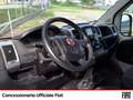Fiat Ducato 35 ch1 2.3 mjt 130cv carro CENTINA FURGONATA Bianco - thumbnail 9