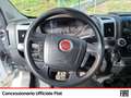 Fiat Ducato 35 ch1 2.3 mjt 130cv carro CENTINA FURGONATA Bianco - thumbnail 10