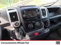 Fiat Ducato 35 ch1 2.3 mjt 130cv carro CENTINA FURGONATA Bianco - thumbnail 12