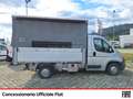 Fiat Ducato 35 ch1 2.3 mjt 130cv carro CENTINA FURGONATA Bianco - thumbnail 3