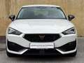 CUPRA Leon Leon TRIBE 1.5 TSI 150 PS ACT Weiß - thumbnail 2