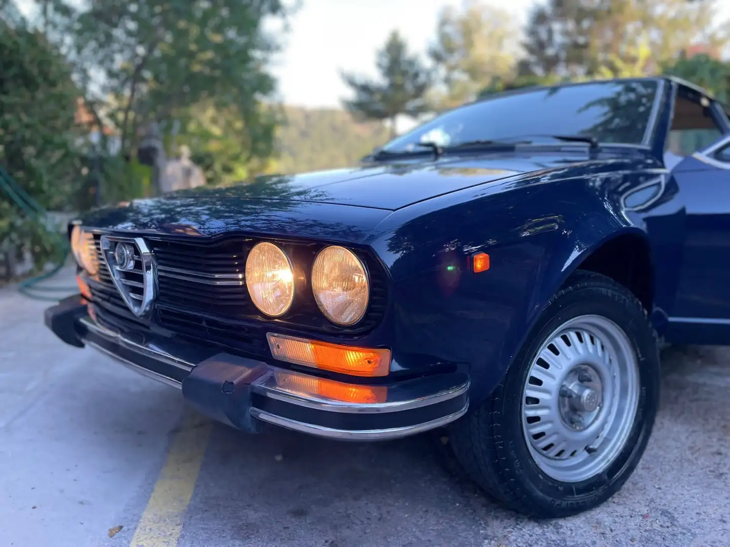 Alfa Romeo GTV Bleu - 1
