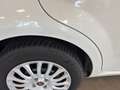 Fiat Punto Punto 5p 1.3 mjt 16v Street (easy) 75cv Wit - thumbnail 7