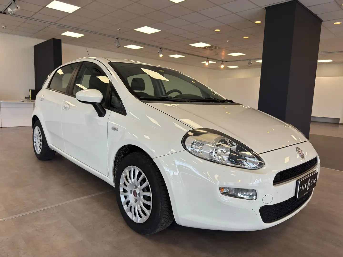 Fiat Punto Punto 5p 1.3 mjt 16v Street (easy) 75cv Wit - 1