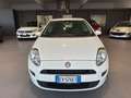 Fiat Punto Punto 3p 1.3 mjt 16v Street (easy) 75cv Blanc - thumbnail 2