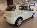 Fiat Punto Punto 5p 1.3 mjt 16v Street (easy) 75cv Wit - thumbnail 4