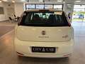 Fiat Punto Punto 5p 1.3 mjt 16v Street (easy) 75cv Wit - thumbnail 5