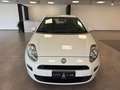 Fiat Punto Punto 5p 1.3 mjt 16v Street (easy) 75cv Wit - thumbnail 2