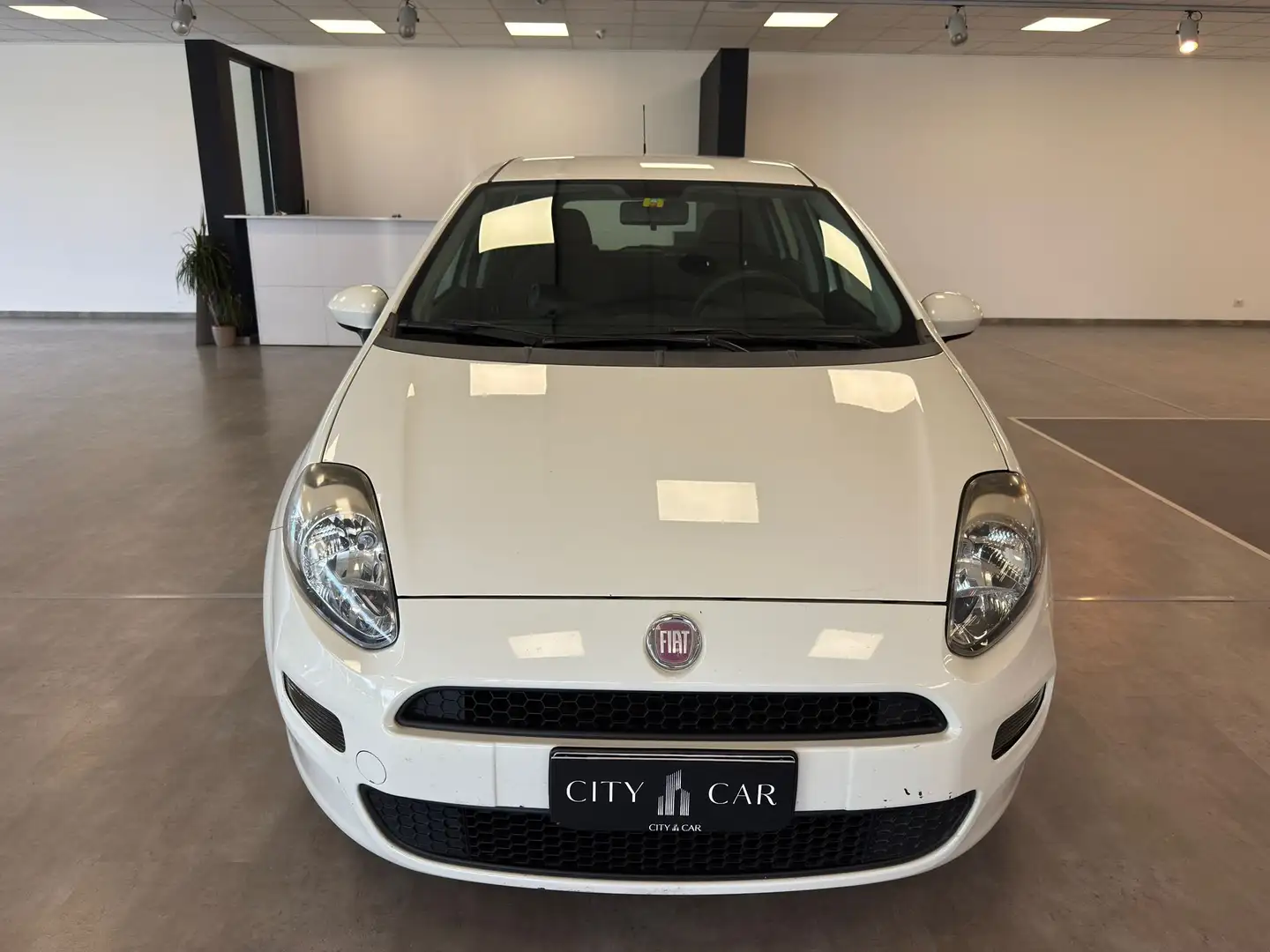 Fiat Punto Punto 5p 1.3 mjt 16v Street (easy) 75cv Wit - 2