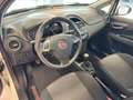 Fiat Punto Punto 5p 1.3 mjt 16v Street (easy) 75cv Wit - thumbnail 10