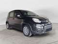Fiat Panda 1.0 70cv Hybrid Panda - thumbnail 3
