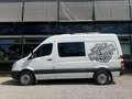 Mercedes-Benz Sprinter Sprinter DK 316 CDI 3,5t / 3.665 mm Weiß - thumbnail 2