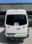 Mercedes-Benz Sprinter Sprinter DK 316 CDI 3,5t / 3.665 mm Weiß - thumbnail 28