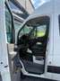 Mercedes-Benz Sprinter Sprinter DK 316 CDI 3,5t / 3.665 mm Weiß - thumbnail 22