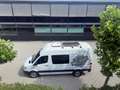 Mercedes-Benz Sprinter Sprinter DK 316 CDI 3,5t / 3.665 mm Weiß - thumbnail 7