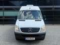 Mercedes-Benz Sprinter Sprinter DK 316 CDI 3,5t / 3.665 mm Weiß - thumbnail 3