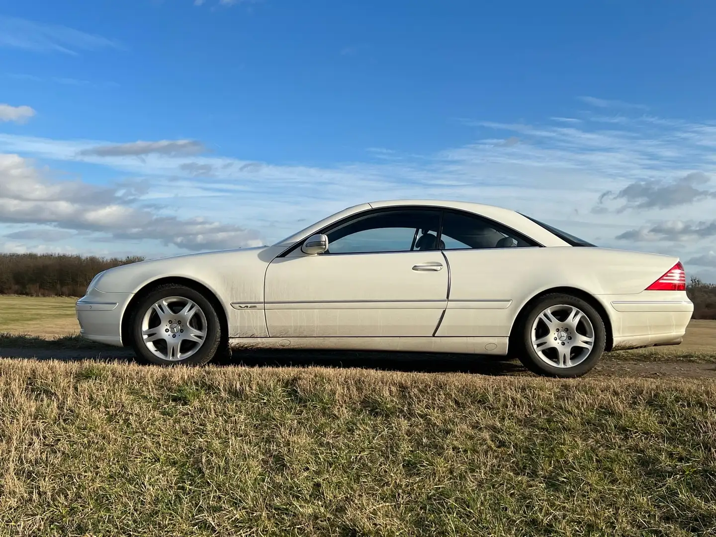 Mercedes-Benz CL 500 CL 500 Alb - 2