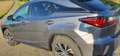 Lexus RX 450h (hybrid) Executive Line Grau - thumbnail 14