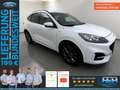 Ford Kuga 2.5 FHEV ST-Line X AHK+LED+Kamera Weiß - thumbnail 1