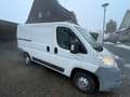Citroen Jumper Jumper 30 HDi 30 L1H1 Blanc - thumbnail 4