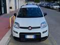 Fiat Panda III 2021 1.0 firefly hybrid City Life s Blanc - thumbnail 3