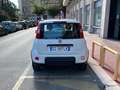 Fiat Panda III 2021 1.0 firefly hybrid City Life s Blanc - thumbnail 5
