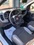 Fiat Panda III 2021 1.0 firefly hybrid City Life s Blanc - thumbnail 6